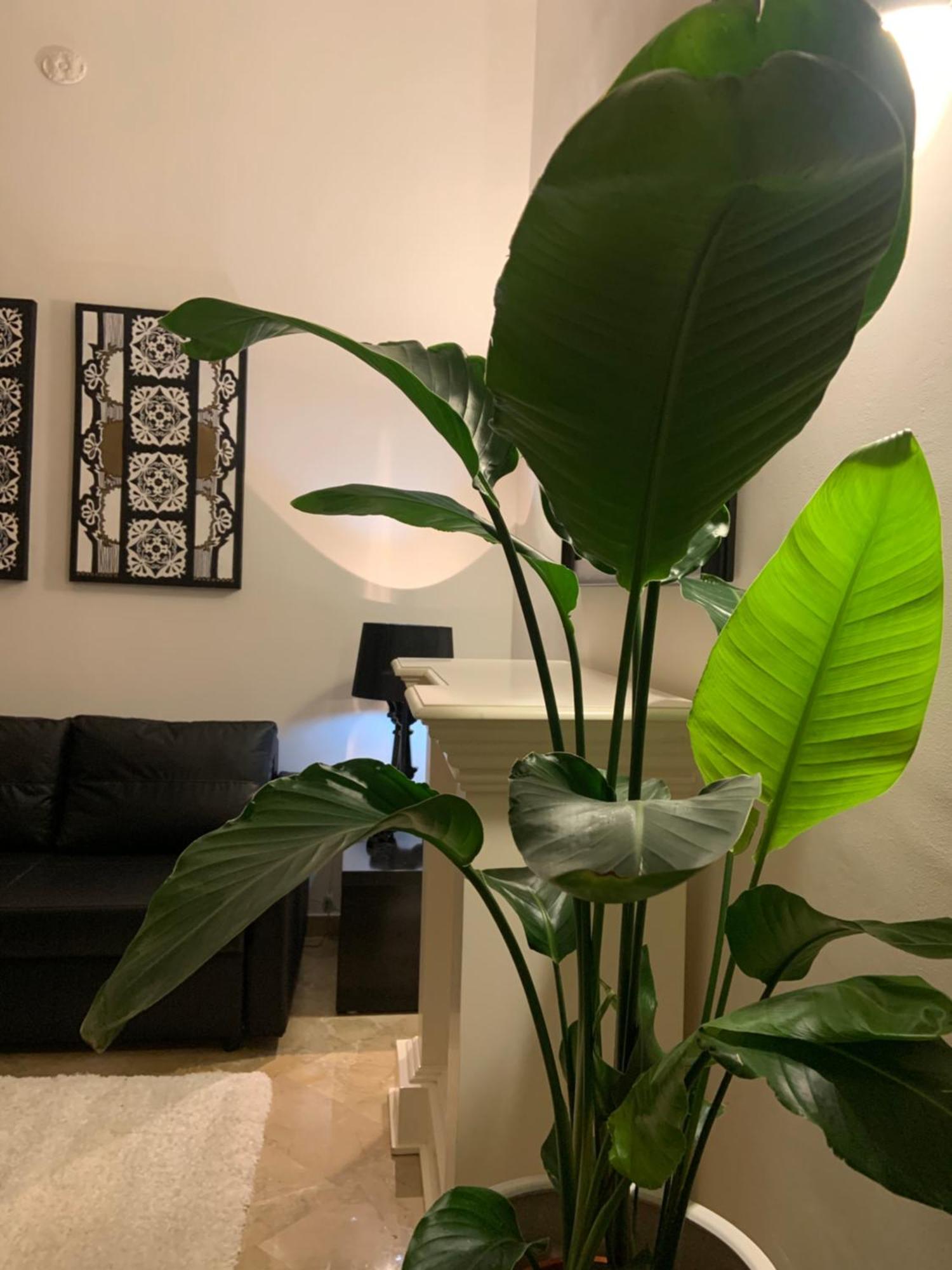 Bari Downtown Luxury Apartment Εξωτερικό φωτογραφία
